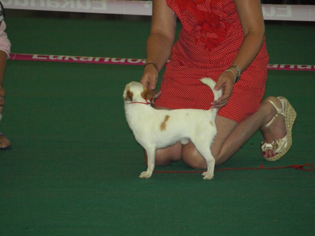 P7116450 [1600x1200]