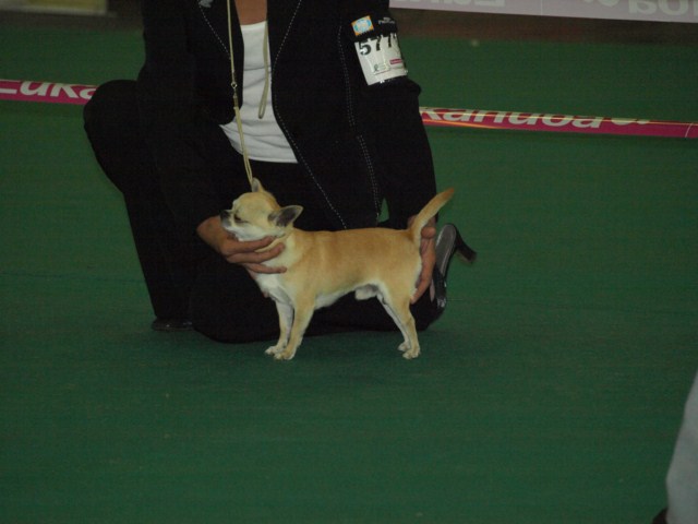 P7116451 [1600x1200]