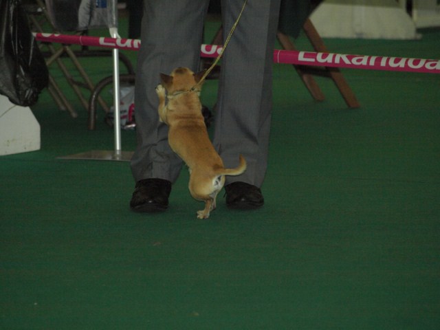 P7116452 [1600x1200]