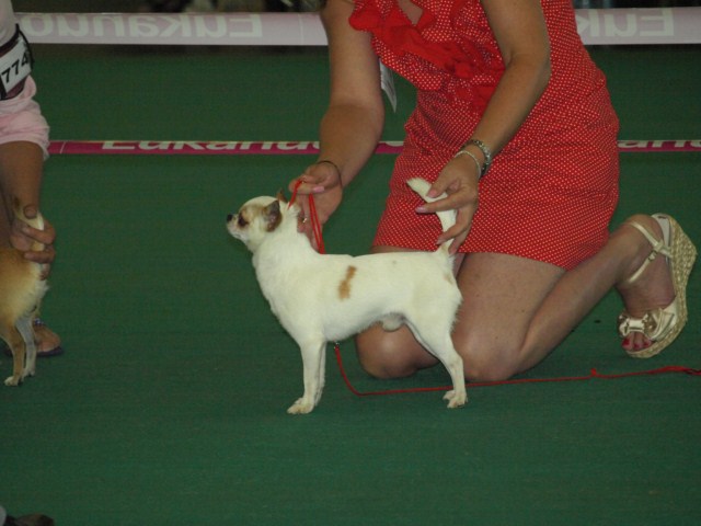 P7116453 [1600x1200]