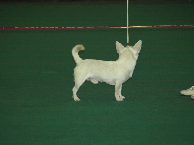 P7116454 [1600x1200]