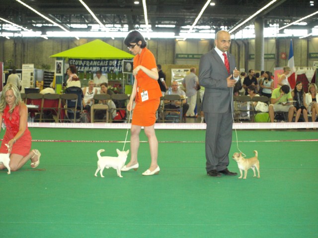 P7116455 [1600x1200]