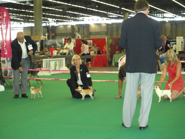 P7116456 [1600x1200]