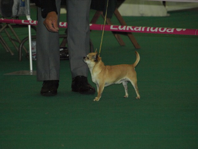 P7116457 [1600x1200]