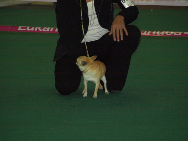 P7116458 [1600x1200]