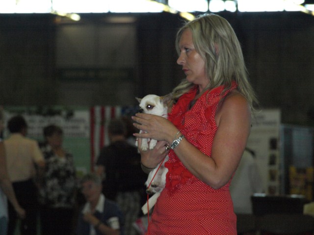 P7116461 [1600x1200]