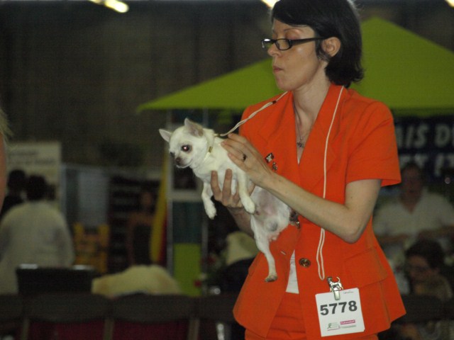 P7116462 [1600x1200]