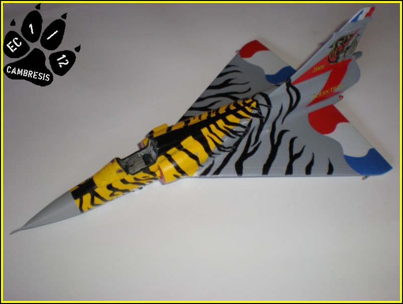 tiger - Mirage 2000C, Revell 1/72... Ocean Tiger * FINI* - Page 2 100718063324585296423691