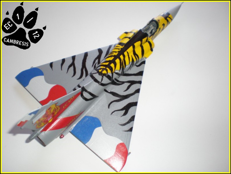 revell - Mirage 2000C, Revell 1/72... Ocean Tiger * FINI* - Page 2 100718063325585296423692