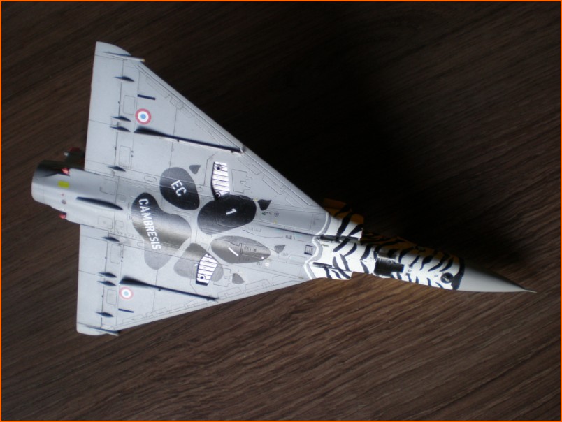 revell - Mirage 2000C, Revell 1/72... Ocean Tiger * FINI* - Page 2 100720012209585296432593