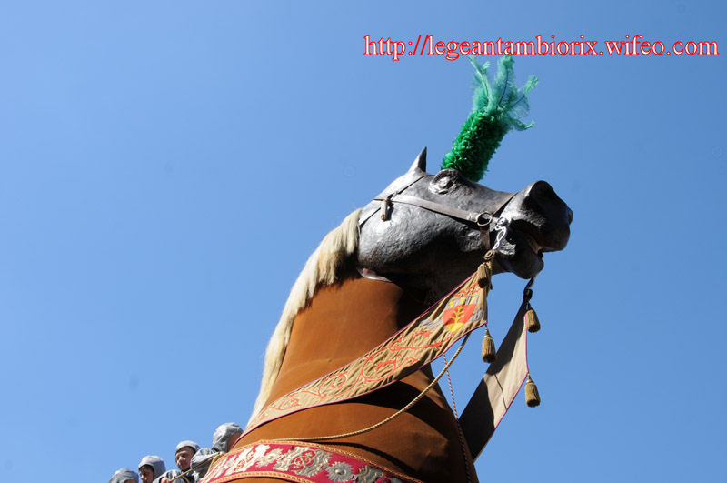 dimanchejflament (508)