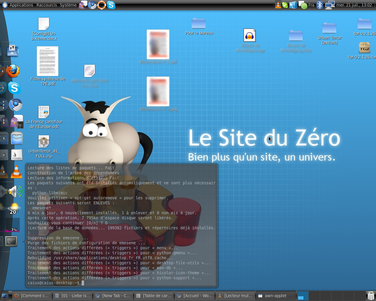 Capture d'écran de mon bureau sous Linux (2)