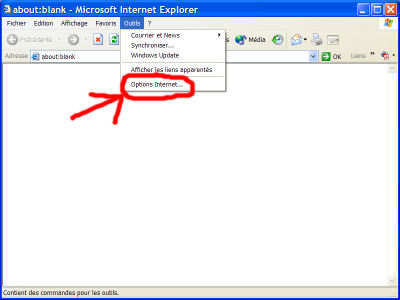 Internet Explorer - impossibilité de voter pour le forum 1007210838101101876440690