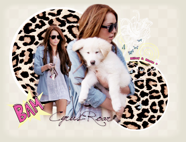 Cyrus-Roar`s Galery. Cant be tamed ♥ 1007250529431074786461409