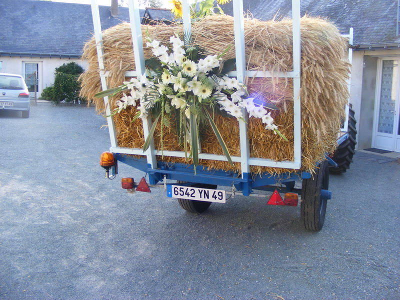 Vive les mariées!!! 100728013534475356477729