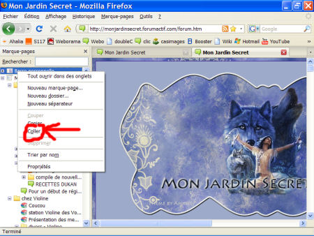 marques-pages (favoris) - FireFox 1007290602361135316481807