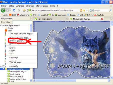 marques-pages (favoris) - FireFox 1007290602381135316481808