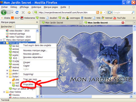 marques-pages (favoris) - FireFox 1007290602451135316481811