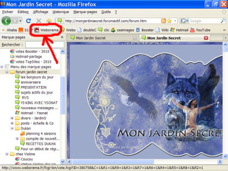 marques-pages (favoris) - FireFox 1007290602521135316481814