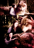 ;; jake; i kissed bella ♥ heavy in your arms ;;   100731070213801516494852