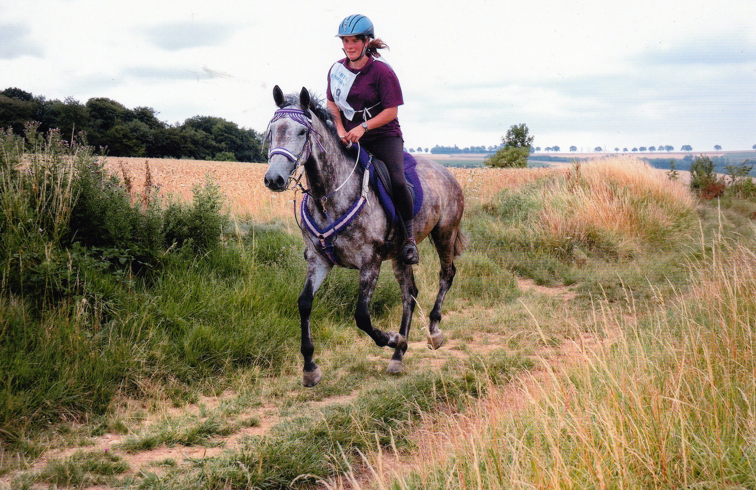 recherche jument endurance 1008040133521114256513602