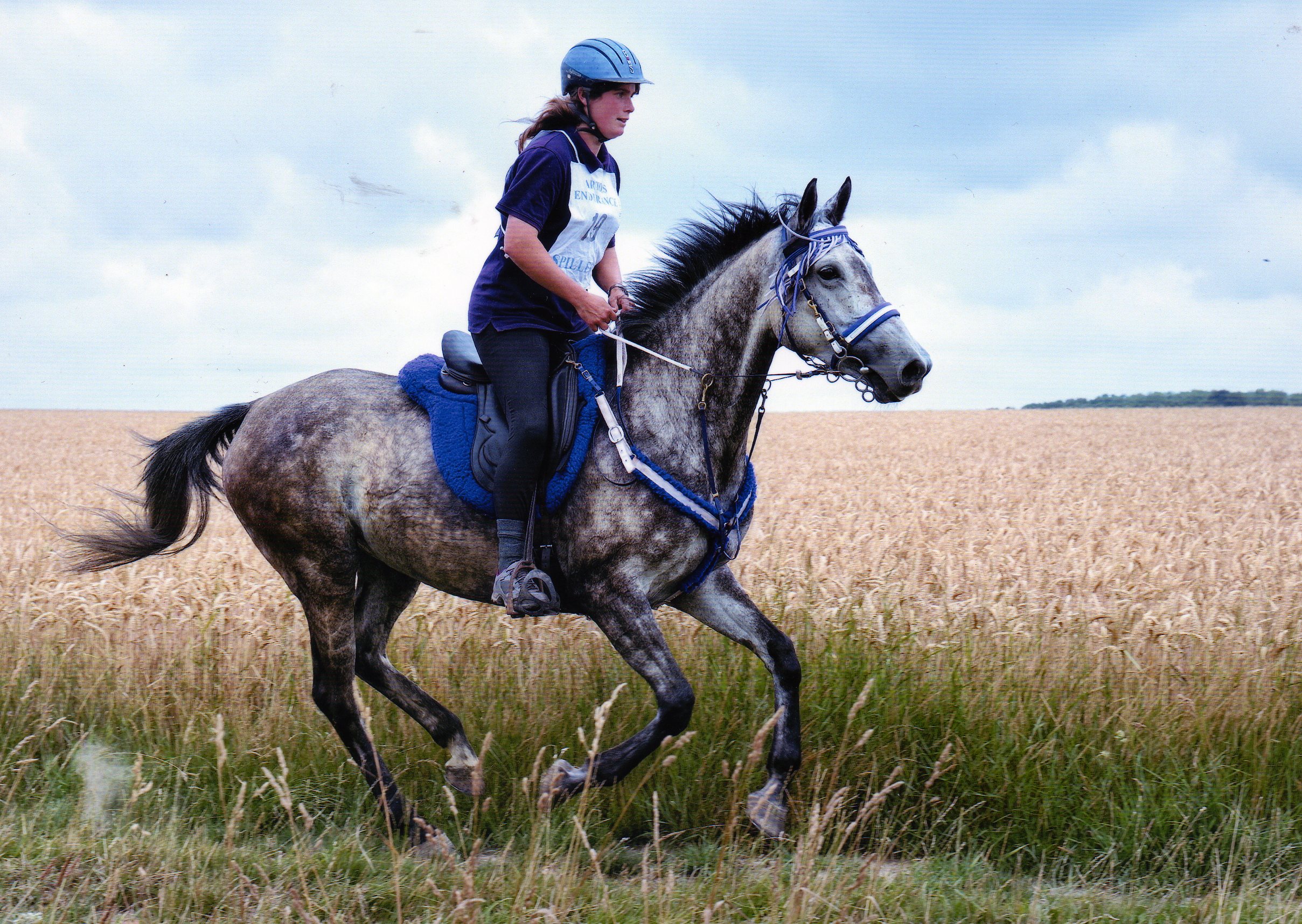 recherche jument endurance 1008040133521114256513603