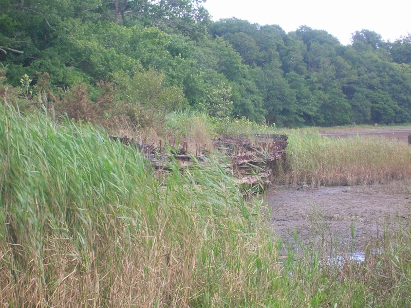 Rivière du Blavet près de Lorient. 100805055539671076520282