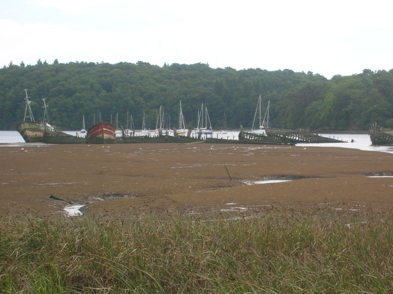 Rivière du Blavet près de Lorient. 100805055701671076520294