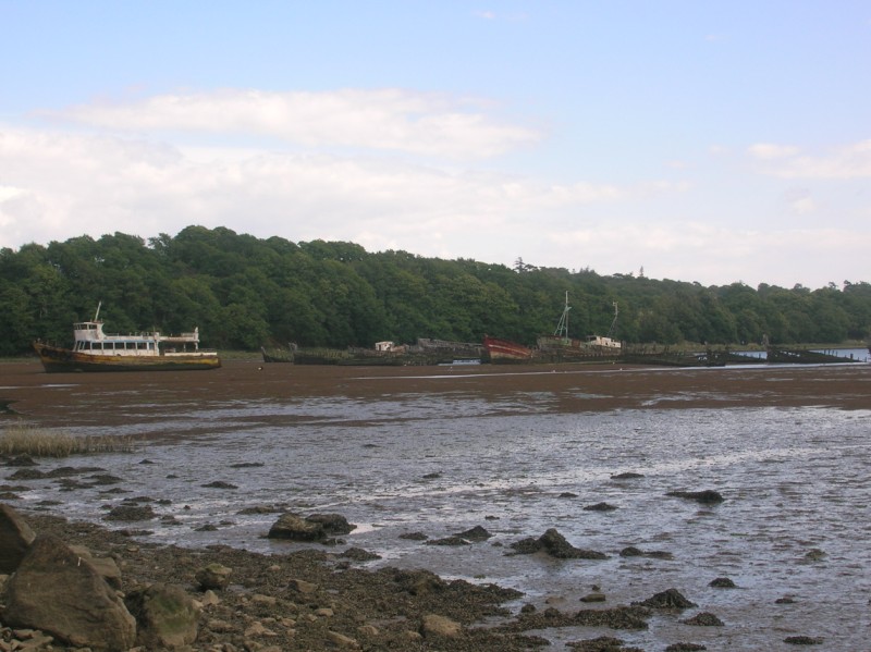 Rivière du Blavet près de Lorient. 100805055704671076520296