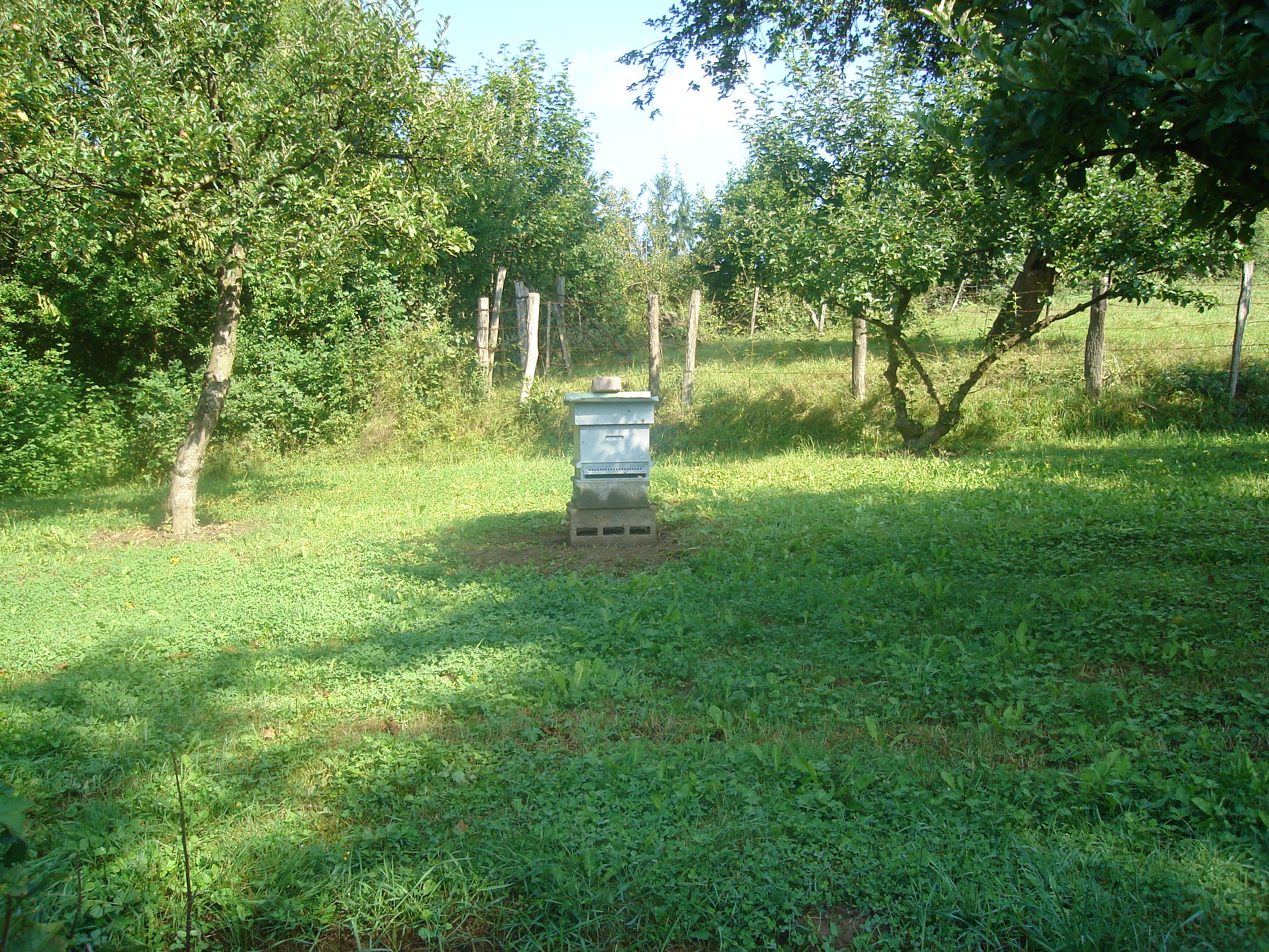 DSC01473