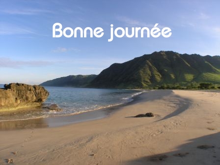 Bonne journée (vendredi 20 août) 100818041311148916582952