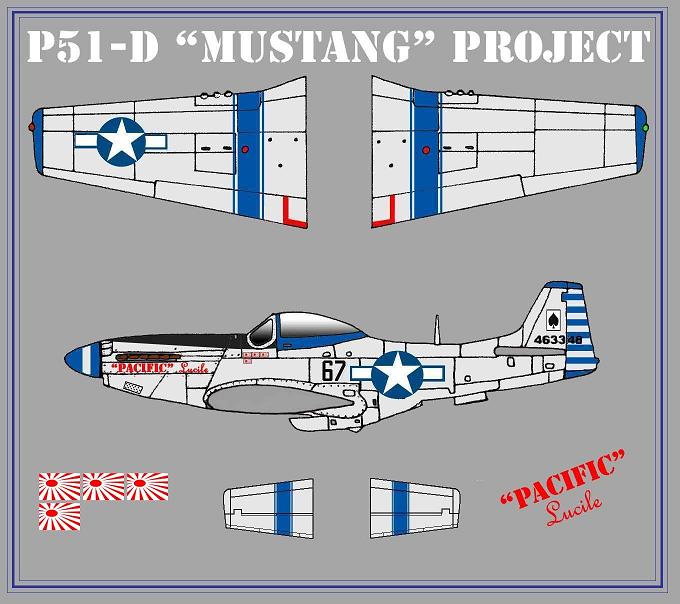 [HOBBYBOSS] projet P51D Mustang  1/72 1008190905531151536592792
