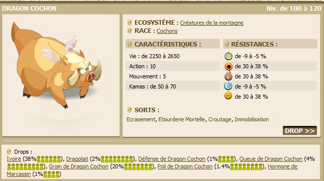 [Guide] Donjon du Dragon Cochon 2.0 1008210544471157646602903