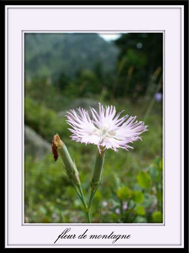 Image hébergée par Casimages.com : votre hébergeur d images simple et gratuit